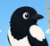 Magpie Logo